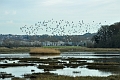 16 01 16_0669_edited-1